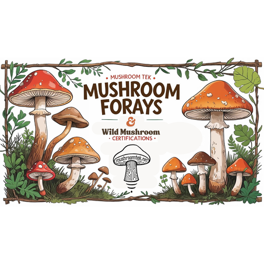 Mushroom Foray | Troup County GA