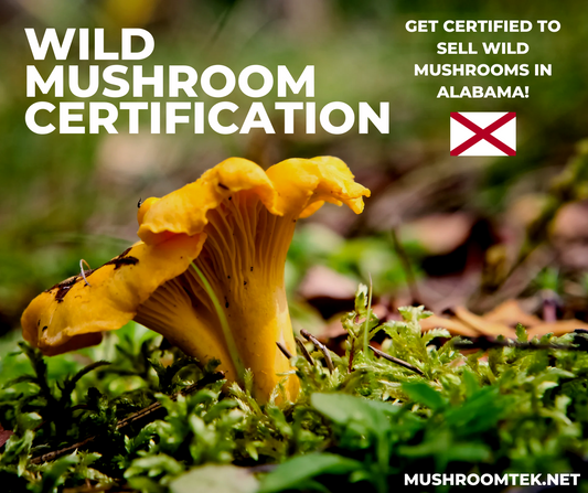 Alabama Wild Mushroom Certification by MushroomTek